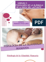 CLASE 4 FisiologÃ - A GlÃ¡ndula Mamaria - GALACTOGENESIS 2020