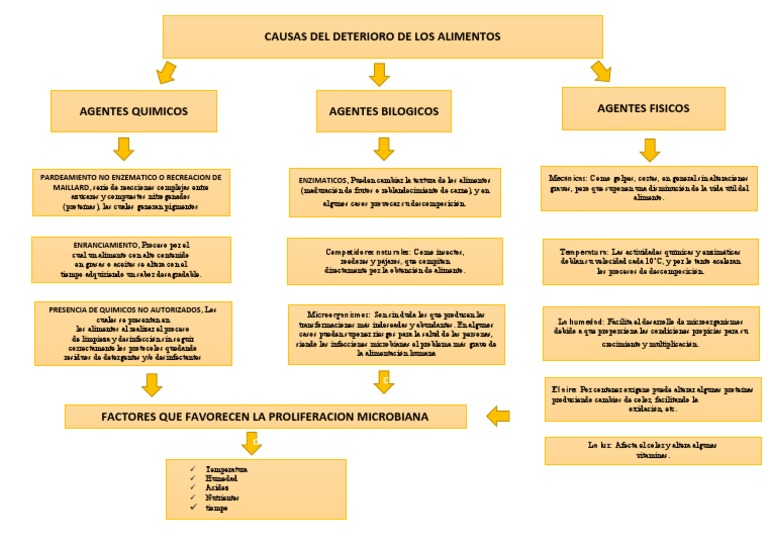 Causas y factores del deterioro alimentario | PDF | Alimentos | Comida ...