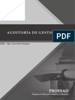 Libro de auditoria de Gestión.pdf