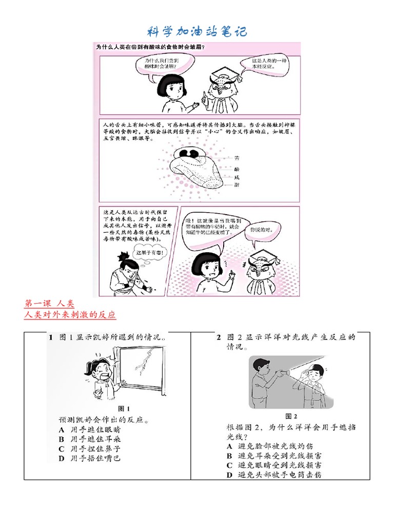 第二课人类对外来刺激的反应 Pdf