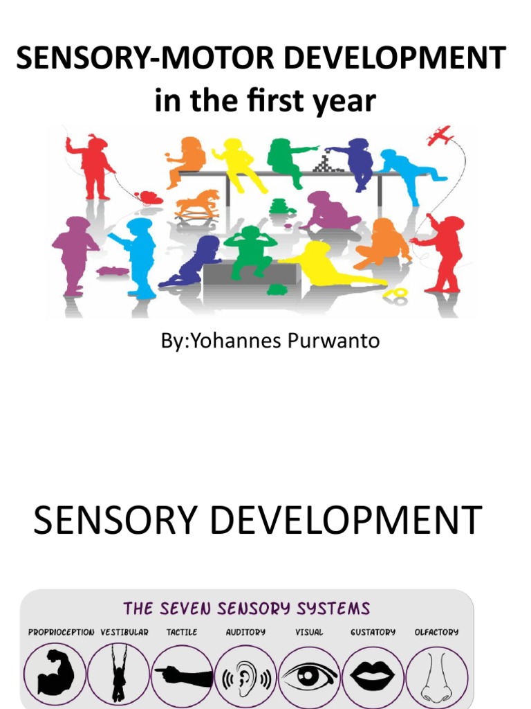SensoryMotor Development in The First Year ByYohannes Purwanto PDF
