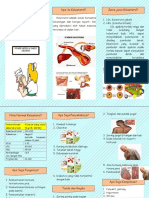 Leaflet-kolesterol[1.docx