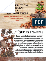 Buenas Prácticas Agrícolas en Cacao