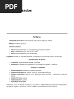 Documento (5).docx