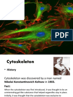 Cytoskeleton