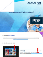 Instructivo Selector Web