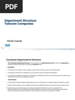 Department Structure Telecom Companies: Michel Chamat