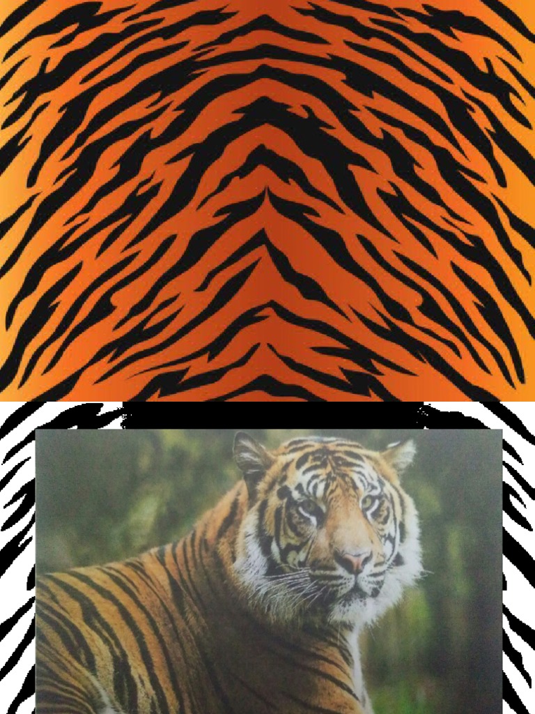 Motivational Lesson: Roar (Song) Module 1 Lesson 1 | PDF