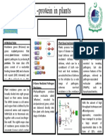 R - Protein in Plants-Poster Design