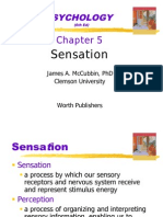 Understanding Sensation and Perception