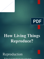 How Living Things Reproduce