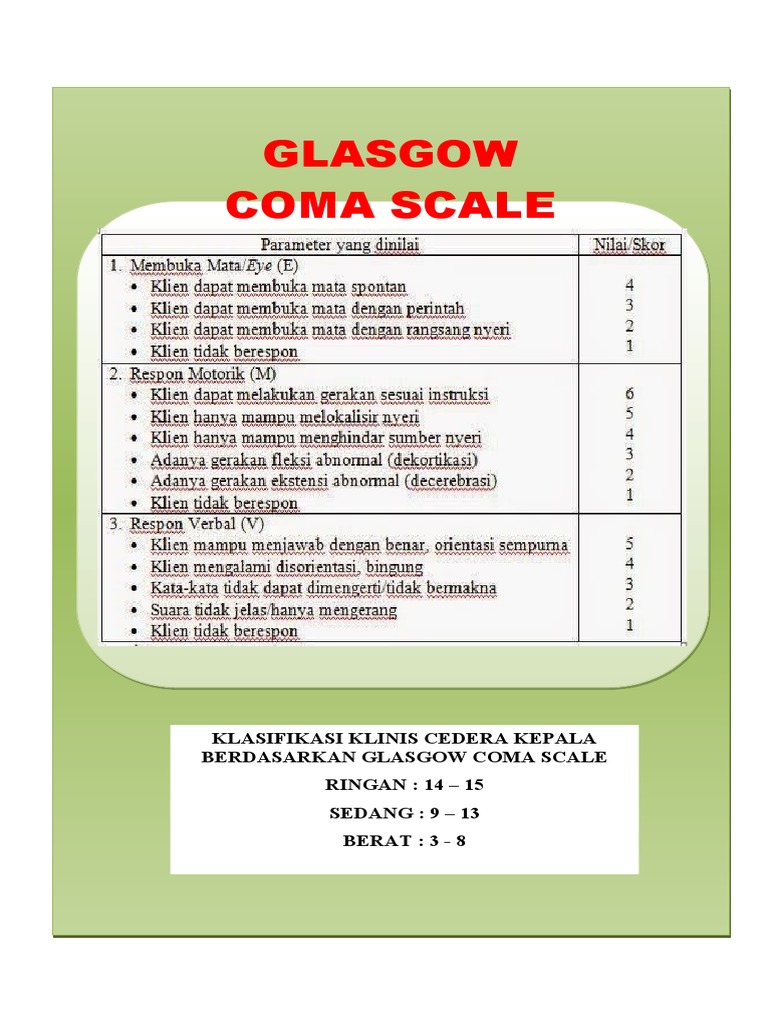 Glasgow Coma Scale | PDF