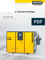Rotary Screw Vacuum Packages: Asv, BSV, CSV