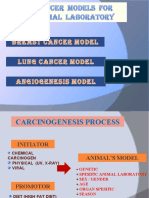 Cancer Model Anim Lab