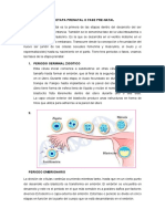 Resumen Etapa Prenatal