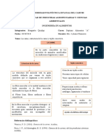 EstructuraCarneTejidoConectivo