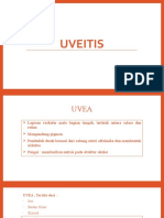 Presentasi Uveitis