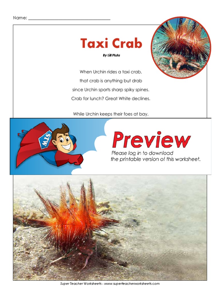 Taxi Crab by Lill Pluta PDF Sharks Fish