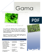 4Gama.pdf