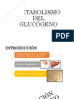 Metabolismo Del Glucogeno