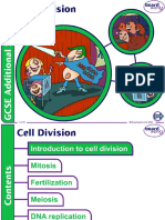 Cell Division