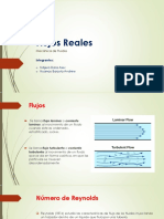 Flujos Reales PDF