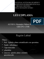 LEUCOPLASIA