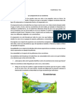 Componentes del ecosistema y Cuidado del medio ambiente