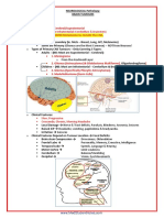 Common Brain Tumours