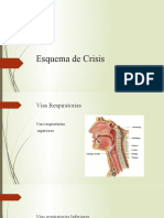 Esquema de Crisis