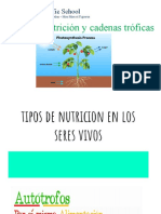 Ciencias Naturales - Productores, Consumidores y Descomponedores