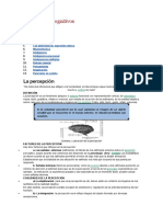 Los Procesos Cognitivos