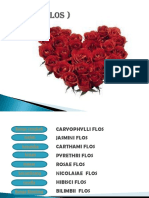 Flos Xi Smkfyp PDF