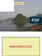 15 Makromolekul