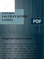 Infeksi Saluran Kemih Lansia