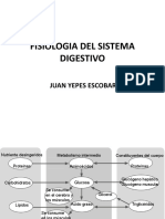 CLASE NUTRICION