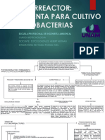 Fotobiorreacto PDF