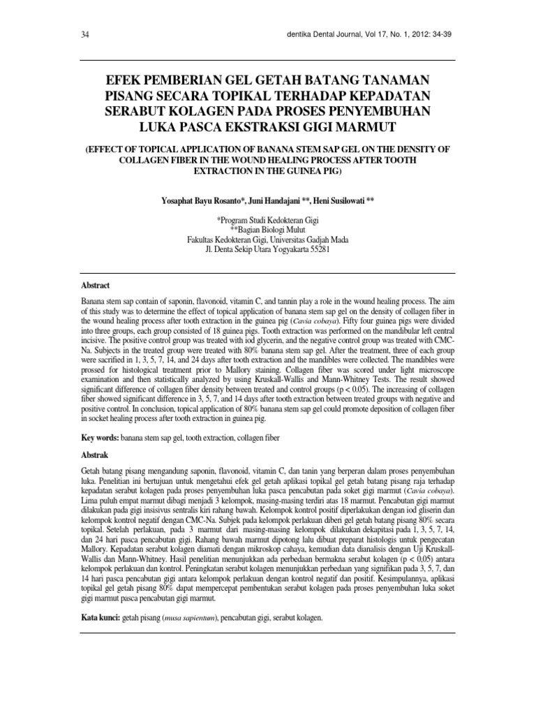 Topical Application of Banana Stem Sap Gel Promotes Collagen Fiber Density and Accelerates Wound