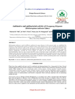 Antitussive and Antibacterial Activity of Trompang Elepante (Heliotropium indicum Linn