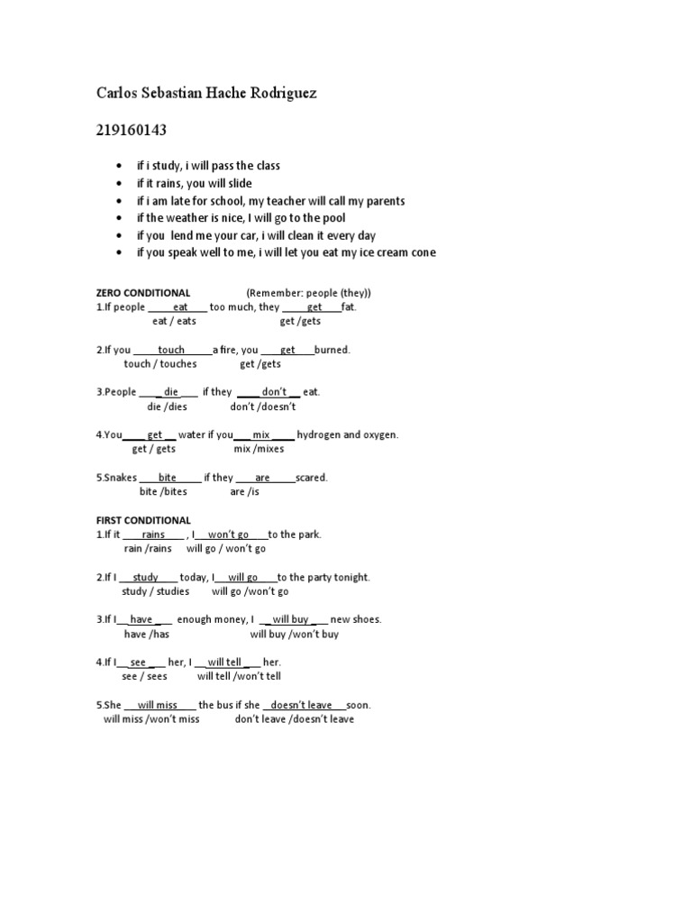 Conditional Sentences Practice Guide | PDF