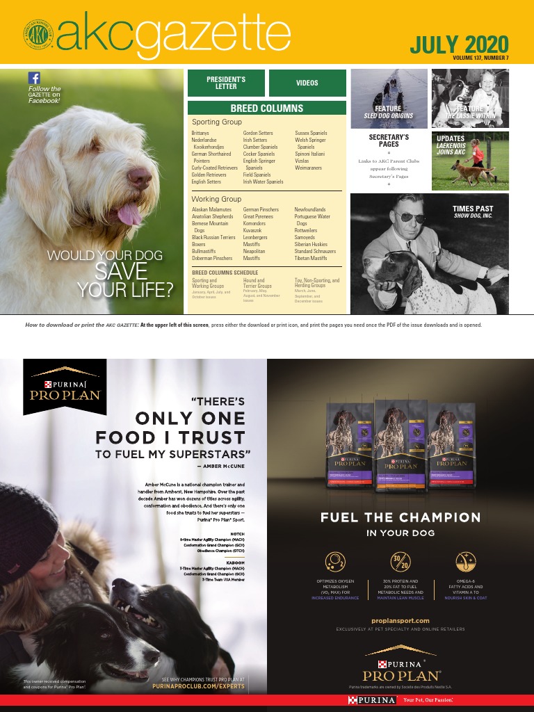 Akc Gazette PDF PDF Dog Breeds American Kennel Club pic