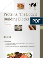 Chapt. 7 Proteins [Autosaved].pptx