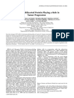 SEL1L A Multifaceted Protein Playing A Role in Tumor Progression