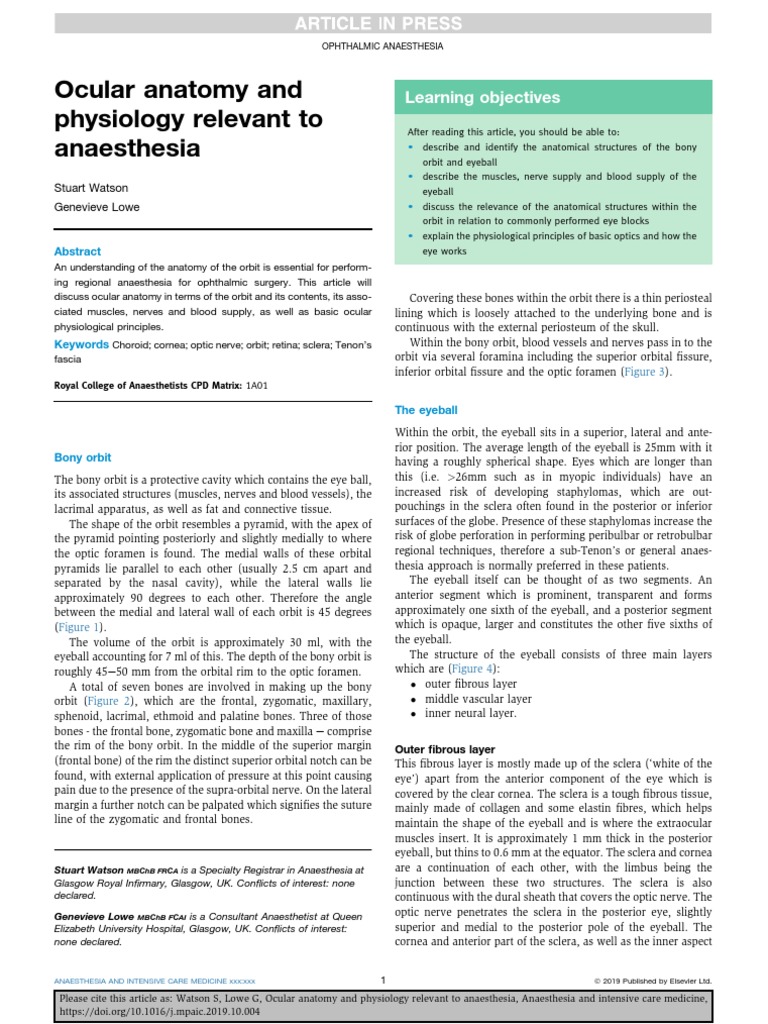Ocular Anatomy for Anesthesia Practice | PDF | Human Eye | Visual System