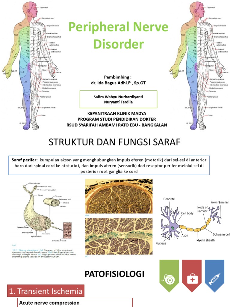 Peripheral Nerve DIsorders | PDF