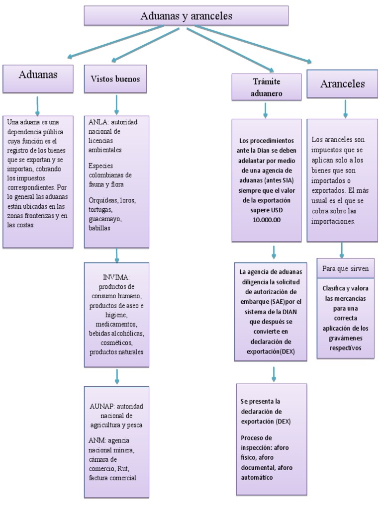 Mapa Conceptual de Aduanas y Aranceles | PDF | aduana | Arancel