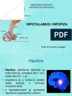 Hipotalamus I Hipofiza PDF