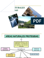 areasnaturalesprotegidas-120702114244-phpapp01.pdf