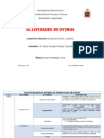 30_ACTIVIDADES_DE_SISTEMA_DE_PRODUCCION_DE_OVINOS__1 (1).docx