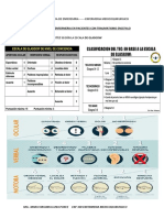 Cuidados T.E.C. Equize GD